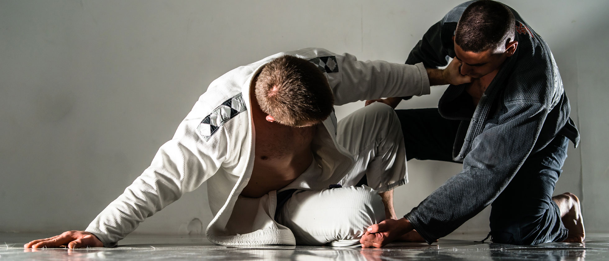 Why Eat 2 Fight Is Ranked The Best Online Jiu-Jitsu Training Service